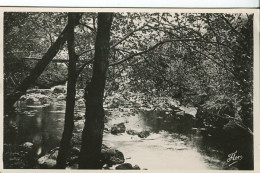 Cp A Saisir 15 Vic Sur Cere Le Pas De La Cere La Passerelle 1948 Editions D Art Flor Marceau Carriere Niort - Autres & Non Classés