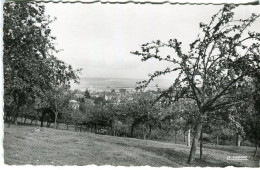 Cp A Saisir 14 Honfleur Vue Generale Panoramique Annees 1950 - Honfleur