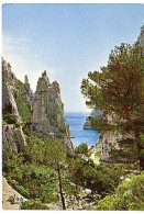 Cp A Saisir 13 L Aiguille D En Vau 1978 Calanques Cassis - Cassis