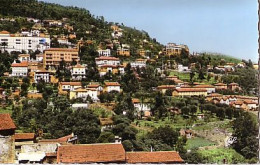 Cp A Saisir 06 Grasse Vue Generale Les Villas Annees 1950 - Grasse