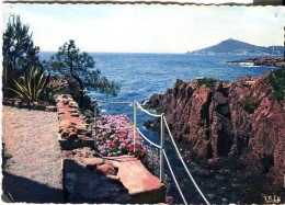 Cp A Saisir 06 Le Trayas Theoule Agay  L Esterel La Corniche D Or Annees 1960 - Other & Unclassified