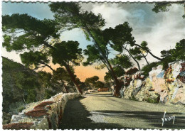 Cp A Saisir 06 La Turbie Route De La Grande Corniche Annees 1960 - La Turbie