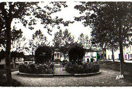 Cp A Saisir 32 Lombez Monument Aux Morts Annees 1950 - Autres & Non Classés