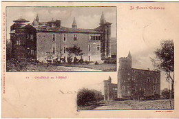 Cp A Saisir 31 Chateau De Pibrac N44 Cliche Trantoul 1903 - Pibrac