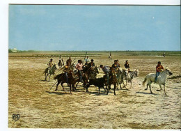 Cp A Saisir 30 13 Ferrade Camargue Manade Taureaux 1960-70 Arles Stes Maries De La Mer  Port Saint Louis Rhone Aigues-Mo - Sonstige & Ohne Zuordnung