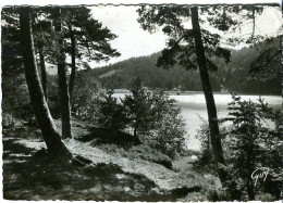 Cp A Saisir 63 Environs De Murols Bords Du Lac Chambon 1950 - Saint Nectaire