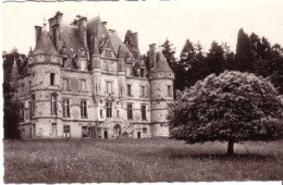 Cp A Saisir 61 Tesse La Madeleine Chateau De La Roche Bagnoles - Autres & Non Classés