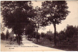 Cp A Saisir 51 Esternay Avenue Du Moulin De Laitre 1917 - Esternay