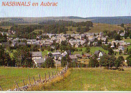 Cp A Saisir 48 Nasbinals En Aubrac - Autres & Non Classés