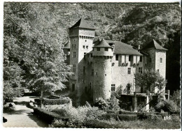 Cp A Saisir 48 Sainte Enimie Chateau De La Caze Gorges Du Tarn Annees 1960 - Gorges Du Tarn