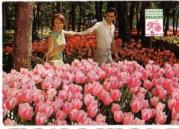 Cp A Saisir 45 Orleans Floralies Ets Lanson Olivet 1967 Publicite - Orleans