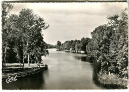 Cp A Saisir 45 Olivet Vue Prise Du Pont Du Loiret Editions Estel  - Other & Unclassified