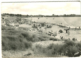 Cp A Saisir 44 Tharon La Plage D Anjou Editions De L Europe Pierron Sarreguemines - Tharon-Plage