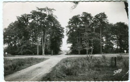 Cp A Saisir 44 Guemene Penfao Foret Du Gavre Rond Point Ed Artaud Nantes - Guémené-Penfao