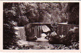 Cp A Saisir 38 Grande Chartreuse Fourvoirie Cascades Du Guiers - Chartreuse