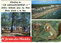 Cp A Saisir 85 Saint Jean De Monts Camping De La Caillauderie - Saint Jean De Monts