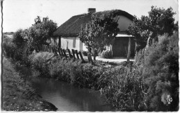 Cp A Saisir 85 Bourine Dans Le Marais 1962 Saint Jean De Monts - Saint Jean De Monts