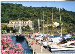 Cp A Saisir 83 Ile De Port Cros L Embarcadere Les Iles D Or Annees 1960 - Other & Unclassified