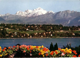 Cp A Saisir 74  Geneve Thonon Chens Sur Leman Vue Generale - Andere & Zonder Classificatie