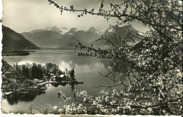 Cp A Saisir 74 Annecy Le Lac Au Printemps 1962 Collection Rossat Mignod Annecy - Annecy