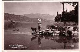 Cp A Saisir 73 Lac Du Bourget Abbaye D Hautecombe 1952 AnimeE Pecheuse Et Son Chien - Le Bourget Du Lac