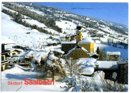 Cp A Saisir Saalbach Austria Skiparadies 1981 - Autres & Non Classés