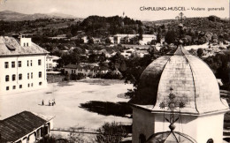 CÂMPULUNG MUSCEL / ARGES : VEDERE GENERALA - CARTE VRAIE PHOTO / REAL PHOTO POSTCARD ~ 1960 - '965 (an846) - Roemenië