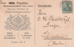 Deutsches Reich  Firmen Karte Mit Tagesstempel Hinterhermsdorf 1919 Peschke Holzeinlegesohlen Sebnitz Sächsische Schweiz - Covers & Documents