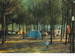 Marina Di Massa Camping Della Partaccia - Other & Unclassified