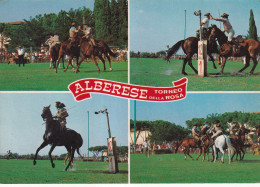 Alberese Torneo Della Rosa - Autres & Non Classés