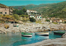 Isola D'Elba Secchetto Scorcio Panoramico - Other & Unclassified