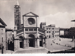 Grosseto La Cattedrale - Grosseto