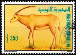 Timbre-poste Dentelé Oblitéré - Faune Tunisienne Antilope Oryx - N° 1132 (Yvert Et Tellier) - Tunisie 1989 - Tunisia