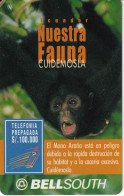 TARJETA DE ECUADOR DE UN MONO ARAÑA (MONKEY) VALIDEZ 30 DIAS - Equateur