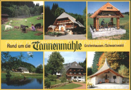 71933105 Grafenhausen Schwarzwald Gasthof Tannenmuehle Grafenhausen - Other & Unclassified