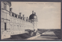 CPA Valençay Dpt 36  Le Château Allée Des Orangers  Réf 1983 - Autres & Non Classés