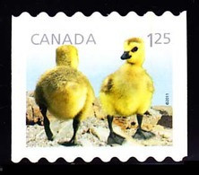 Canada (Scott No.2428 - Canard / Duck) (o) Bande / Coil - Used Stamps