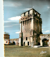 89* DRUYES LES BELLES FONTAINES Grande Poterne  Du Chateau (CPSM 10x15cm)  RL19,0355 - Autres & Non Classés