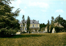 89* THEIL S/VANNE  Le  Chateau  (CPSM 10x15cm)   RL19,0360 - Other & Unclassified