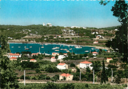 83* ST TROPEZ  Le Cap Et Baie Des Tranchiers (CPSM 10x15cm)      RL19,0055 - Saint-Tropez