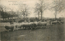 14* LA NORMANDIE  - Le Marche Aux Moutons      RL19,1634 - Autres & Non Classés