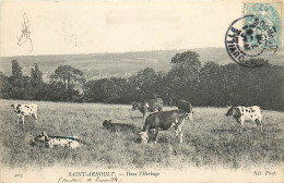 14* ST ARNOULT Dans L Herbage     RL19,1603 - Autres & Non Classés