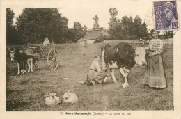 14* NORMANDIE La Traite Du Soir     RL19,1570 - Autres & Non Classés