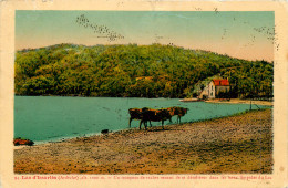 07* ISSARLES  Le Lac – Troupeau De Vaches     RL19,1356 - Autres & Non Classés