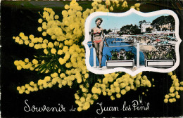 06* JUAN LES PINS  Souvenir – Mimosas  (CPSM 9x14cm)     RL19,1331 - Juan-les-Pins