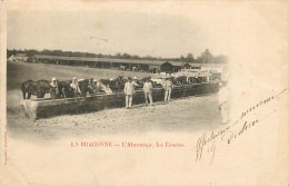 16* LA BRACONNE  Abreuvoir Des Ecuries      RL19,1854 - Barracks