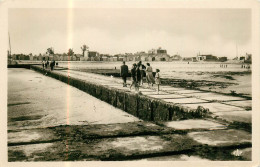 14* COURSEULLES  La Plage Et Piste De Debarquement  (CPSM 9x14cm)     RL19,1757 - Courseulles-sur-Mer