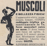VIPODY Muscoli E Bellezza - 1958 Pubblicità Epoca - Vintage Advertising - Advertising