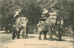 75* PARIS  Jardin Zoologique  Acclimatation – Promenade A Elephants  RL38.0490 - Paris (05)
