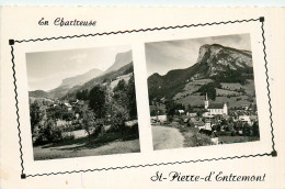 73* ST PIERRE D ENTREMONT  2 Vues  (CPSM Format 9x14cm)    RL38.0125 - Sonstige & Ohne Zuordnung